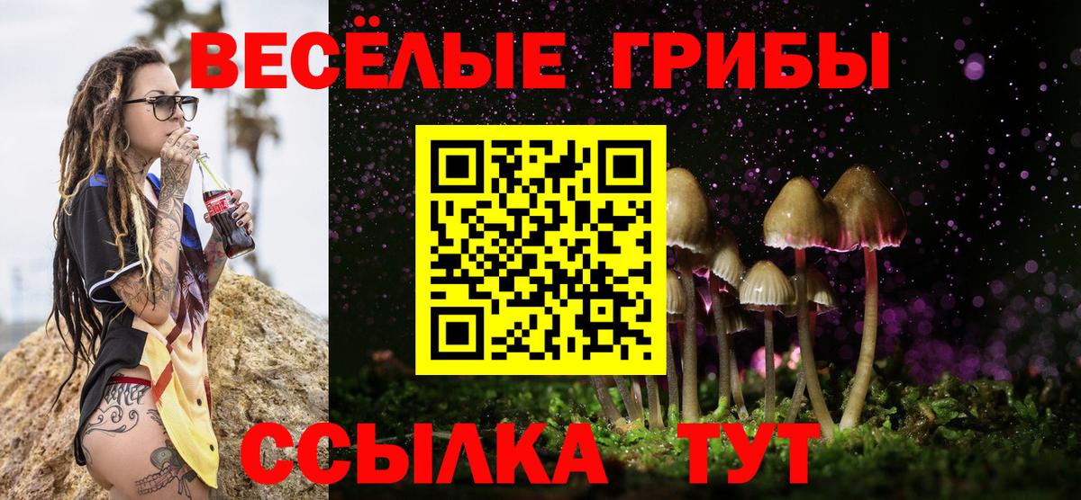 Галлюциногенные грибы Magic Shrooms  Вход с VPN  Ефремов  Галлюциногенные грибы мицелий 