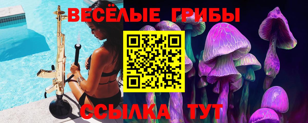 Галлюциногенные грибы ЛСД Ефремов